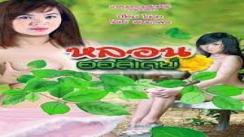 เย็ดไทย เย็ดแรง เย็ดเสียวๆ เย็ดนมเด้ง เย็ดท่าหมา