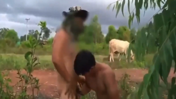 เย็ดเกย์ไทย เย็ดเกย์ เย็ดสด เย็ดยับ เย็ดประตูหลัง